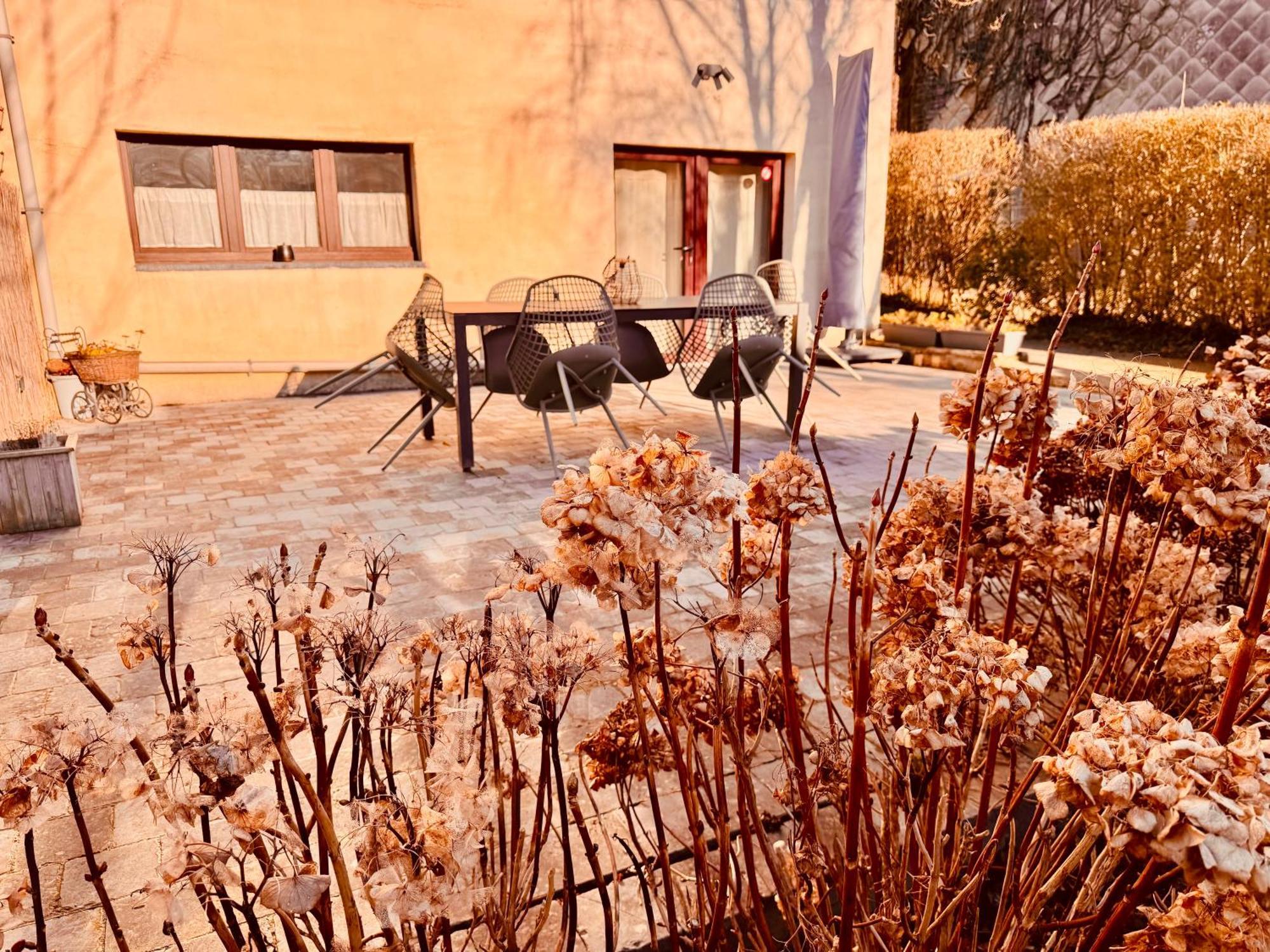 Oboho - Le gîte bohème  Esneux Extérieur photo